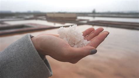 鹽怎麼來|【餐桌到產地系列】鹽怎麼來？從海水、結晶到成就風。